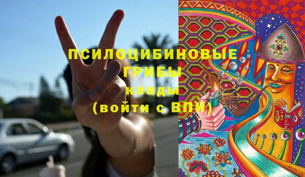 гидра Алексеевка