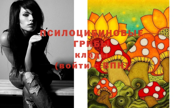 бошки Алексин