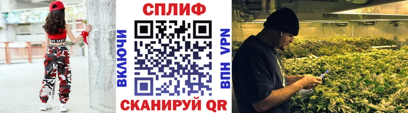 Бошки Шишки MAZAR Малоархангельск